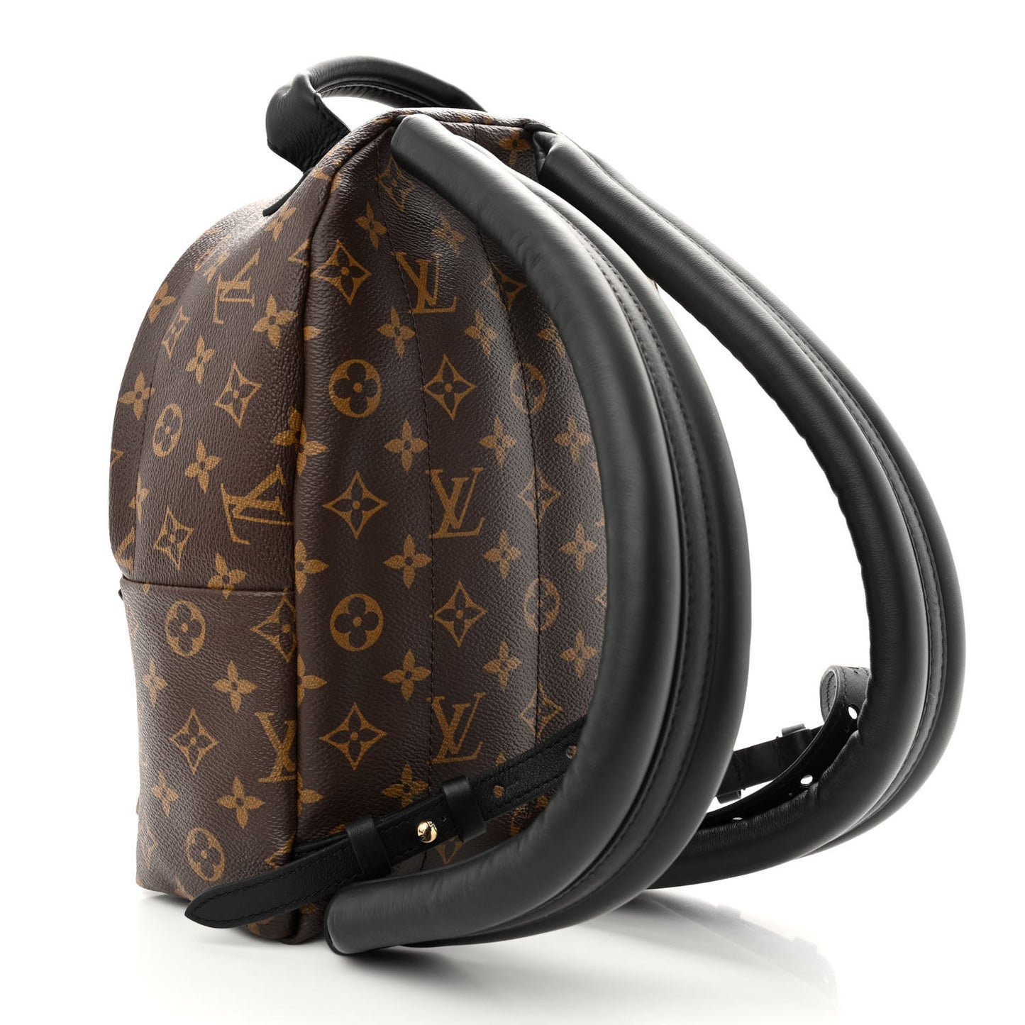 Monogram Palm Springs Backpack PM