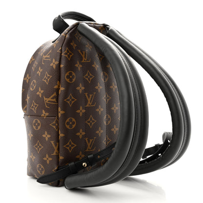 Louis Vuitton Monogram Palm Springs Backpack PM 3 of 11