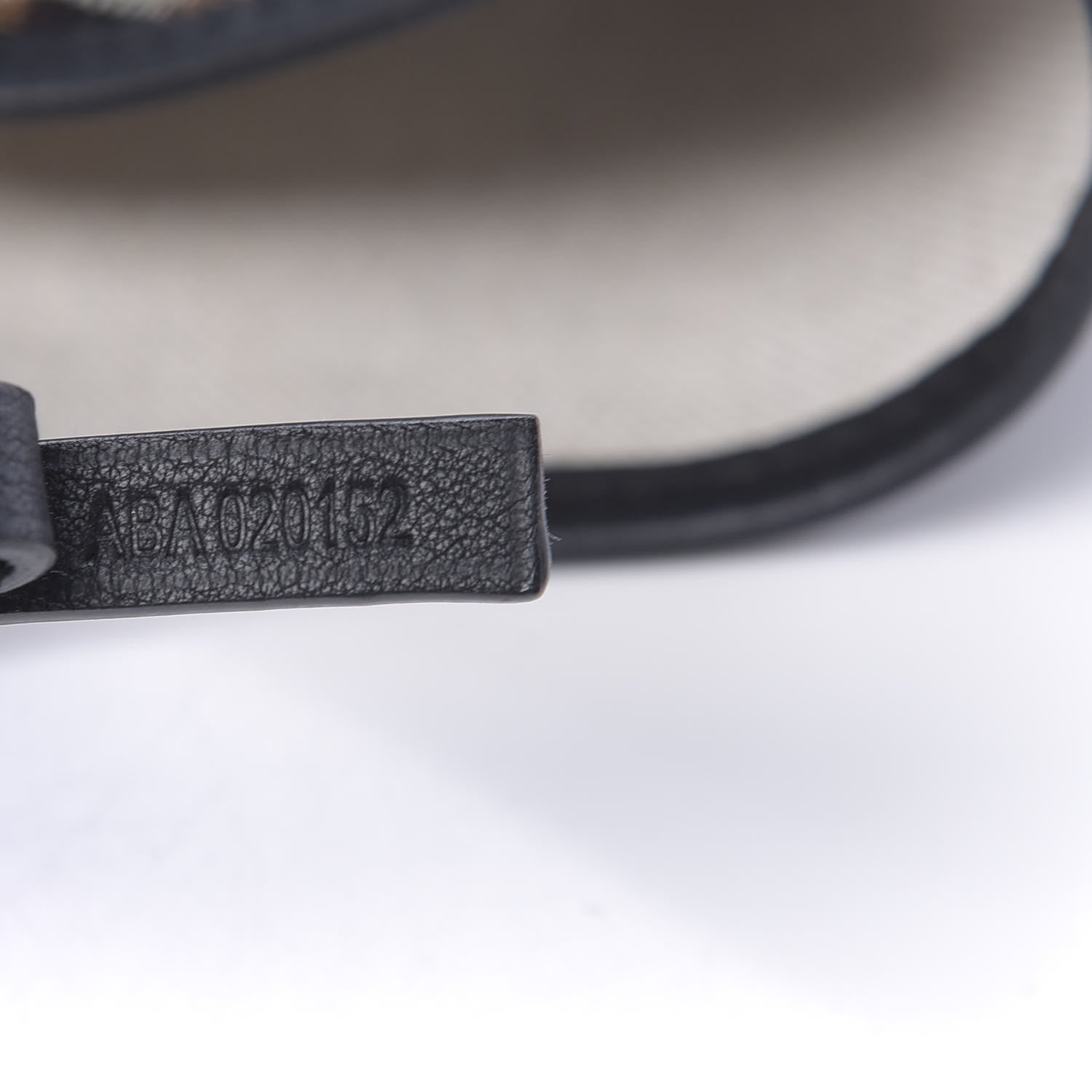 Goyard Goyardine Saint Louis PM Black 7 of 10