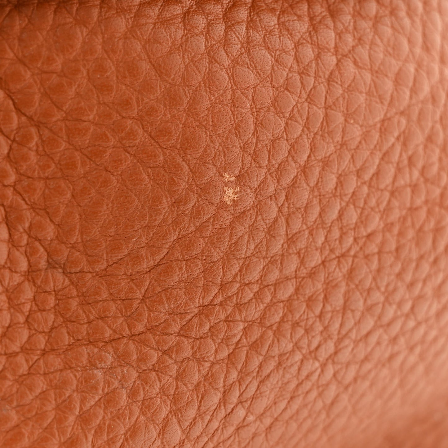 Calfskin Large Marcie Hobo Tan