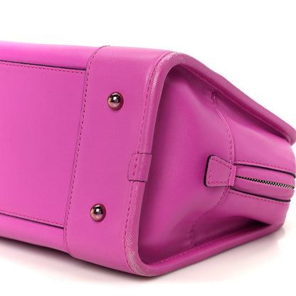 Loewe Calfskin Amazona 28 Bright Purple 9 of 9