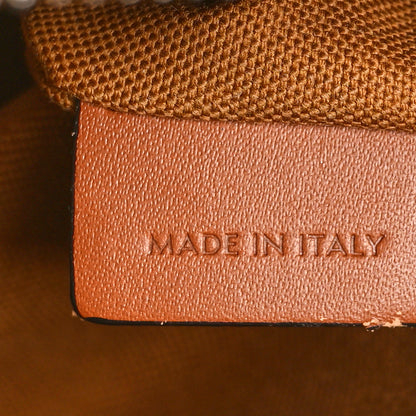 Celine Triomphe Canvas Small Camera Bag Tan 6 of 12