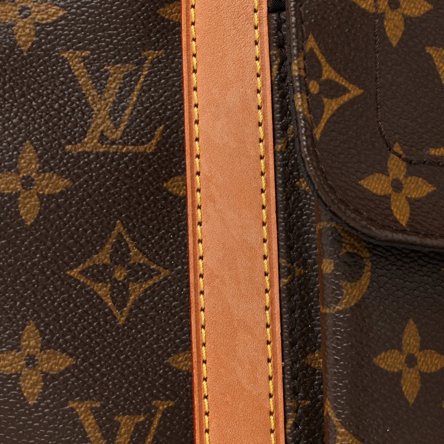 Monogram Sac Baxter PM Dog Pet Carrier