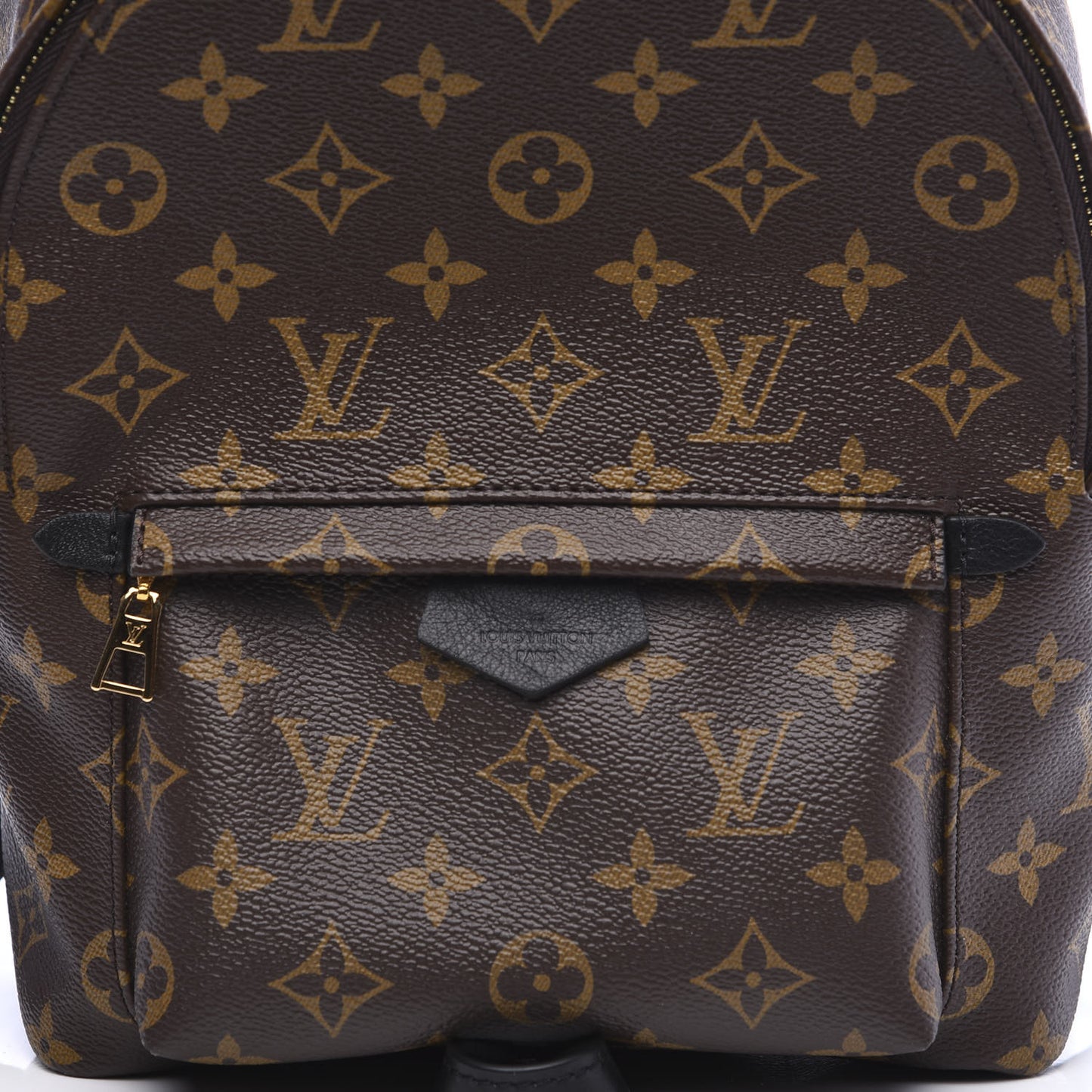 Monogram Palm Springs Backpack PM