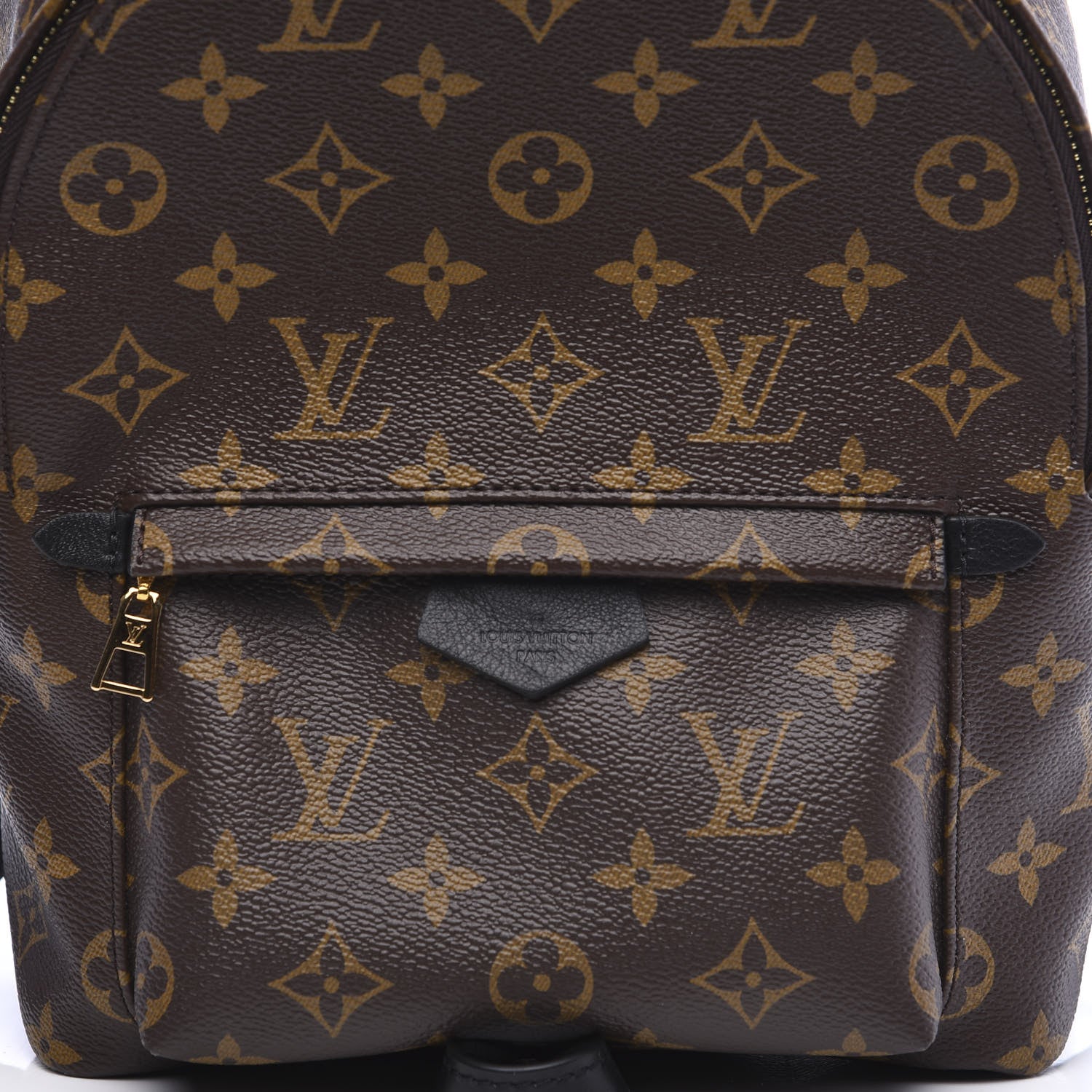 Louis Vuitton Monogram Palm Springs Backpack PM 10 of 10