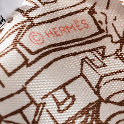 Hermes Silk De Passage A Tokyo Twilly 4 of 5