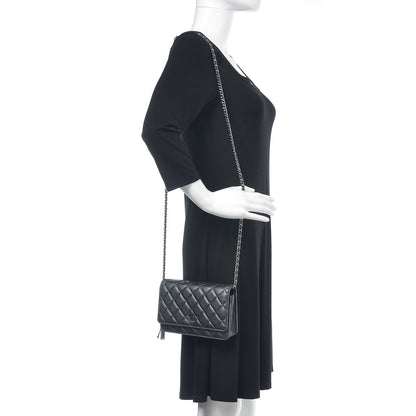 Chanel Iridescent Aged Calfskin Quilted Tassel Wallet On Chain WOC Dark Silver 2 of 12