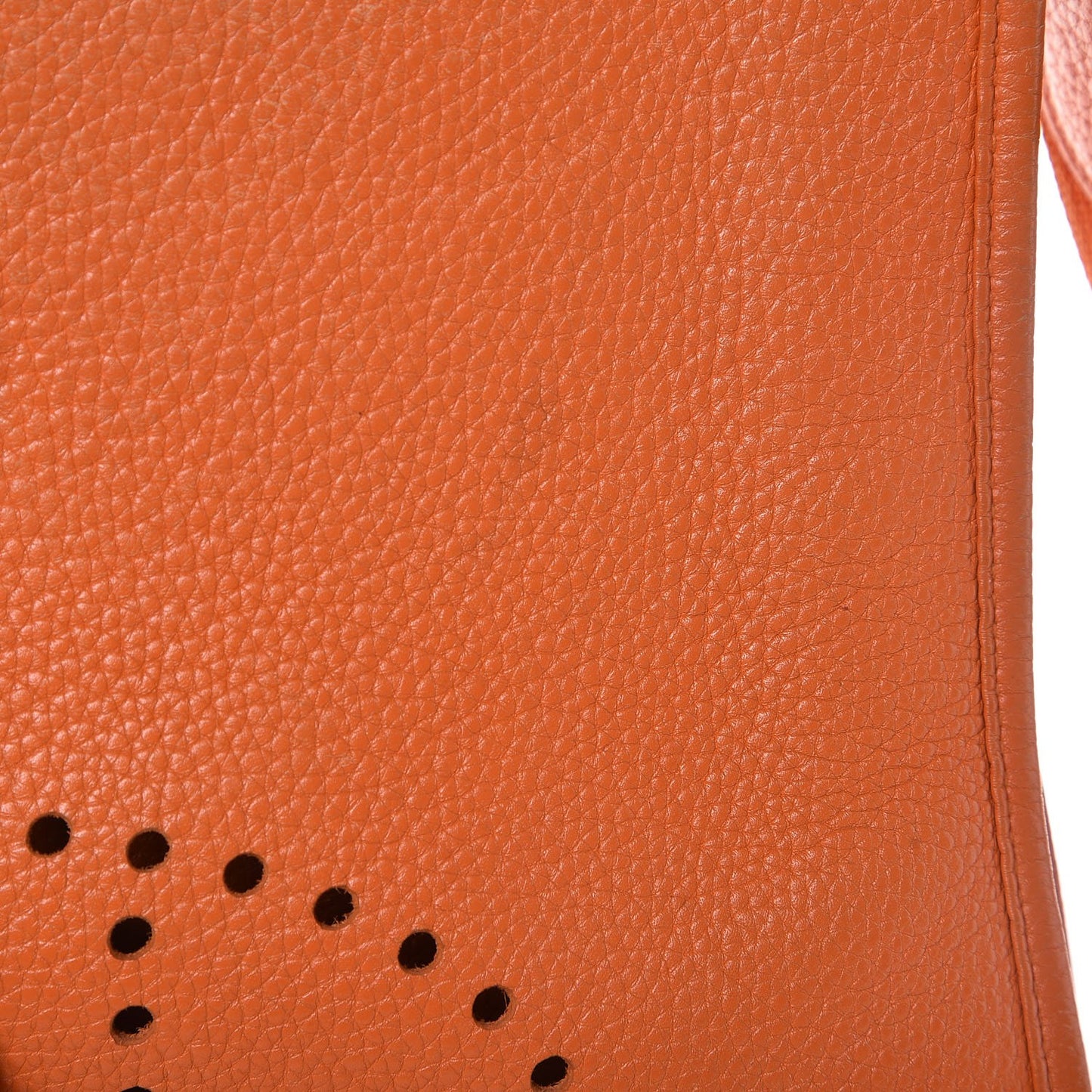 Taurillon Clemence Evelyne PM Orange