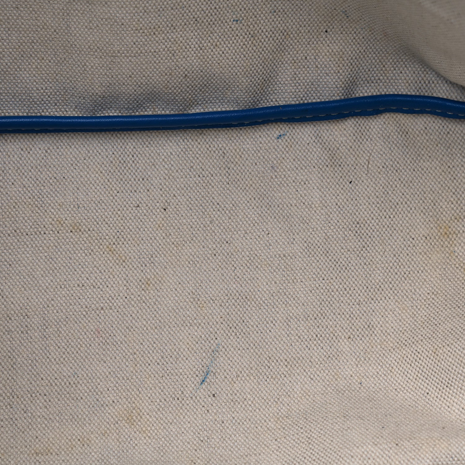 Goyard Goyardine Saint Louis PM Sky Blue 7 of 8