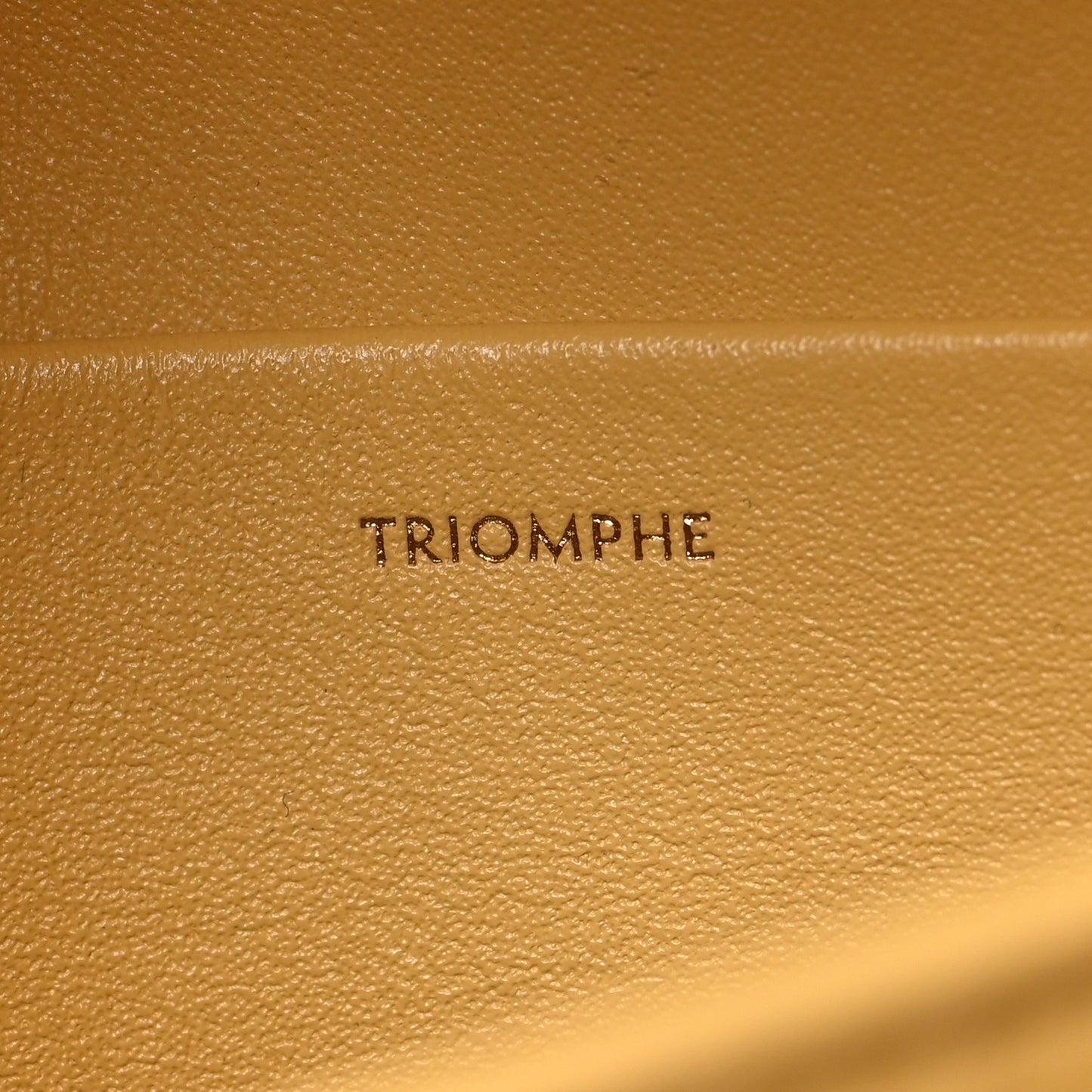 Shiny Calfskin Medium Triomphe Pollen