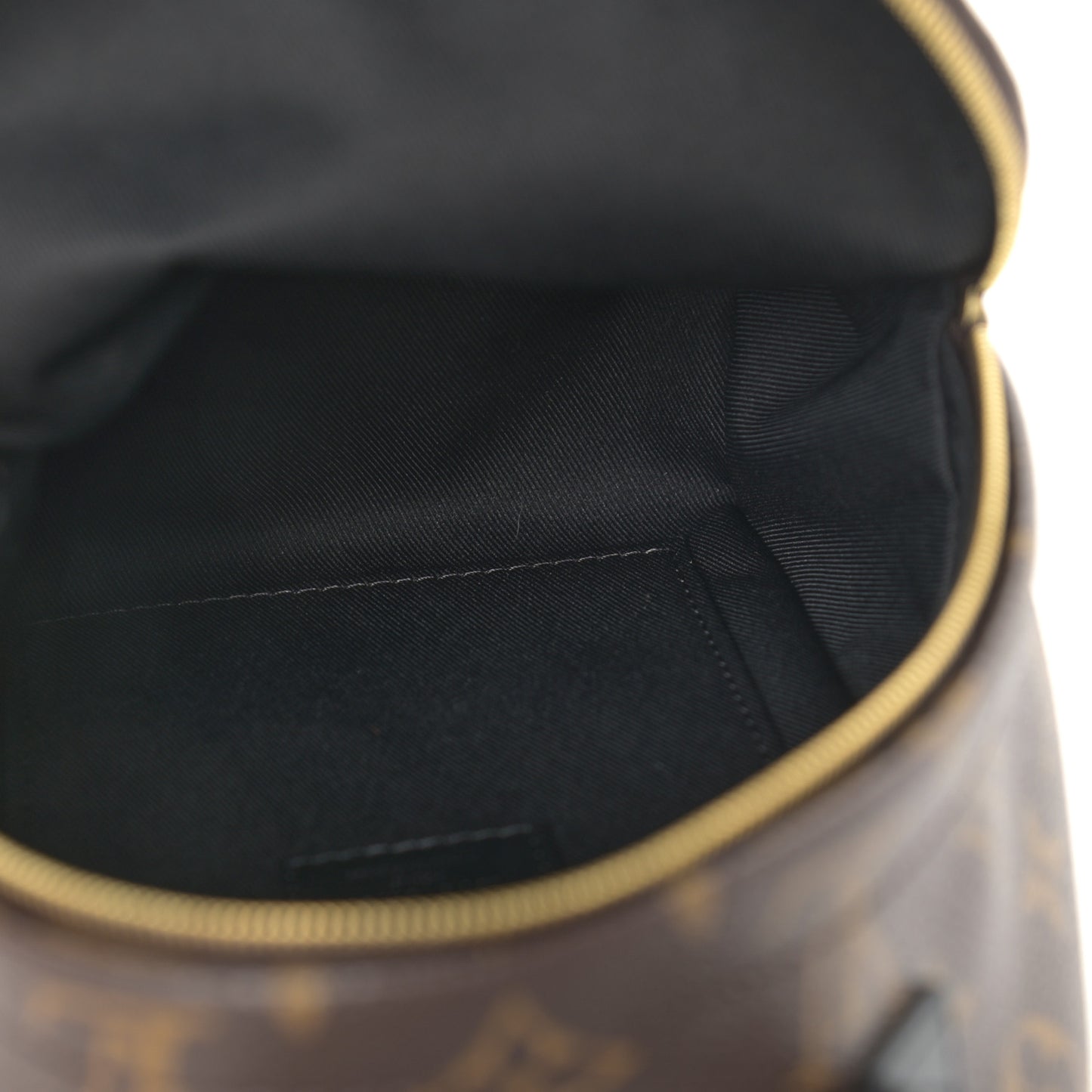 Monogram Palm Springs Backpack Mini