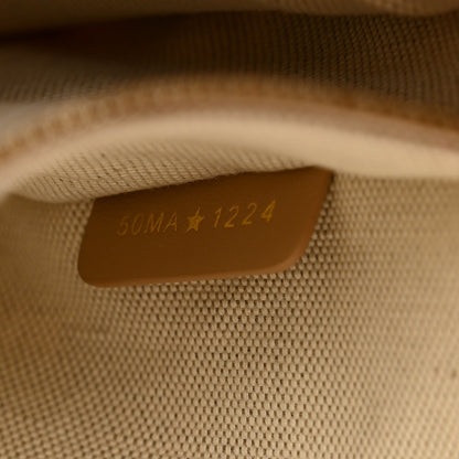 Christian Dior Canvas Calfskin Embroidered Small Plan De Paris Book Tote With Strap Beige 7 of 11