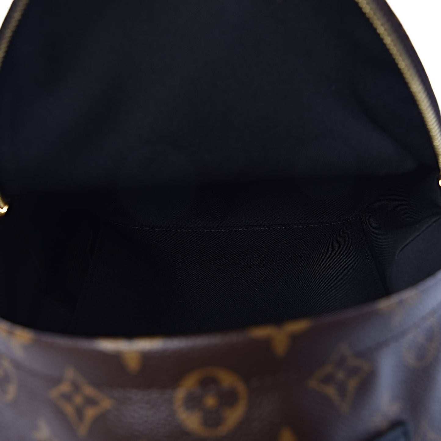Monogram Palm Springs Backpack PM
