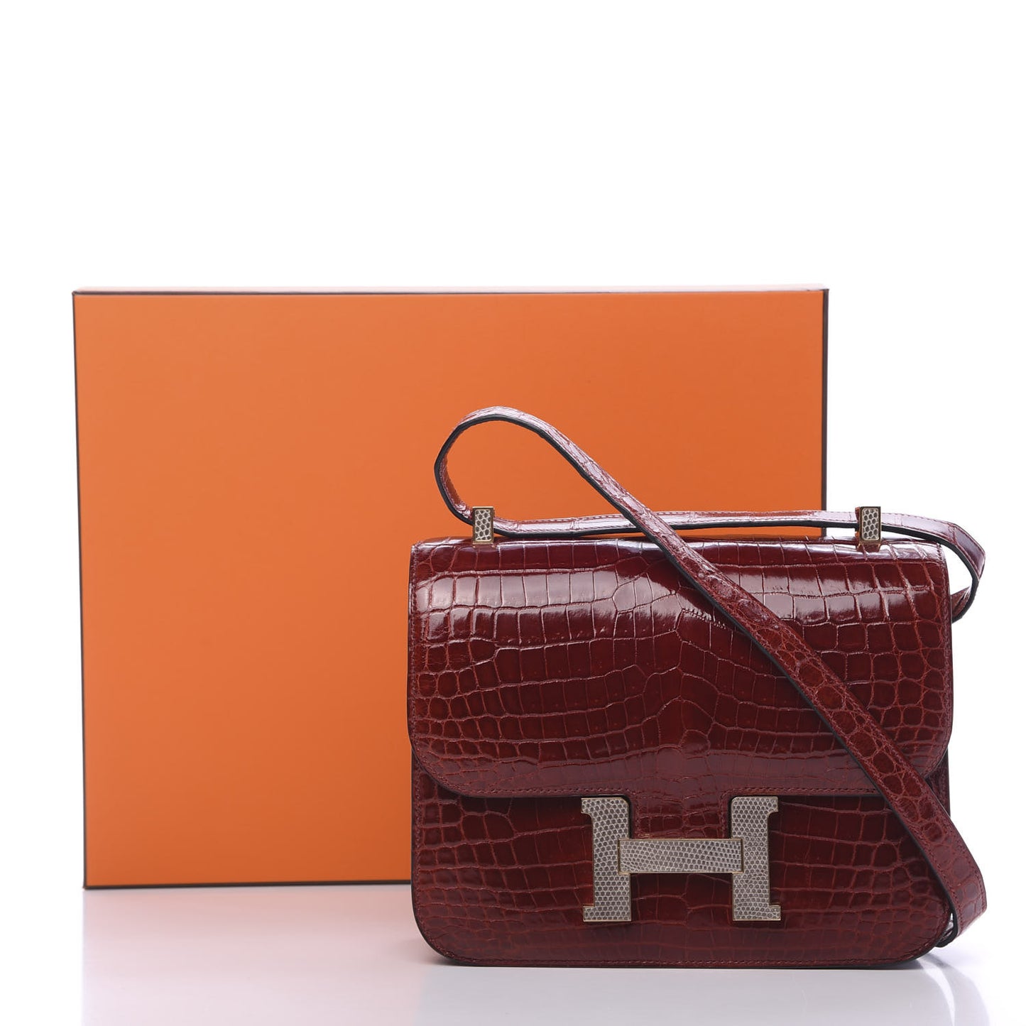 Shiny Niloticus Crocodile Lizard Marquette Constance 24 Rouge H