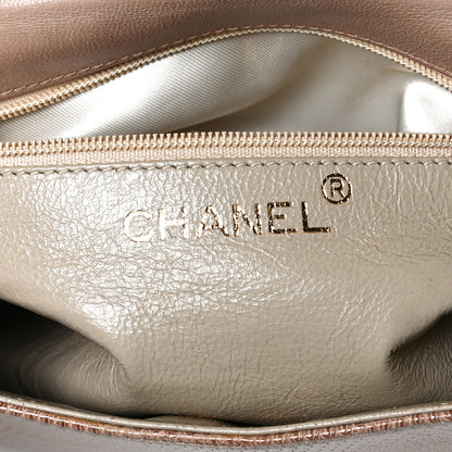 Chanel Snakeskin Flap Brown 6 of 10