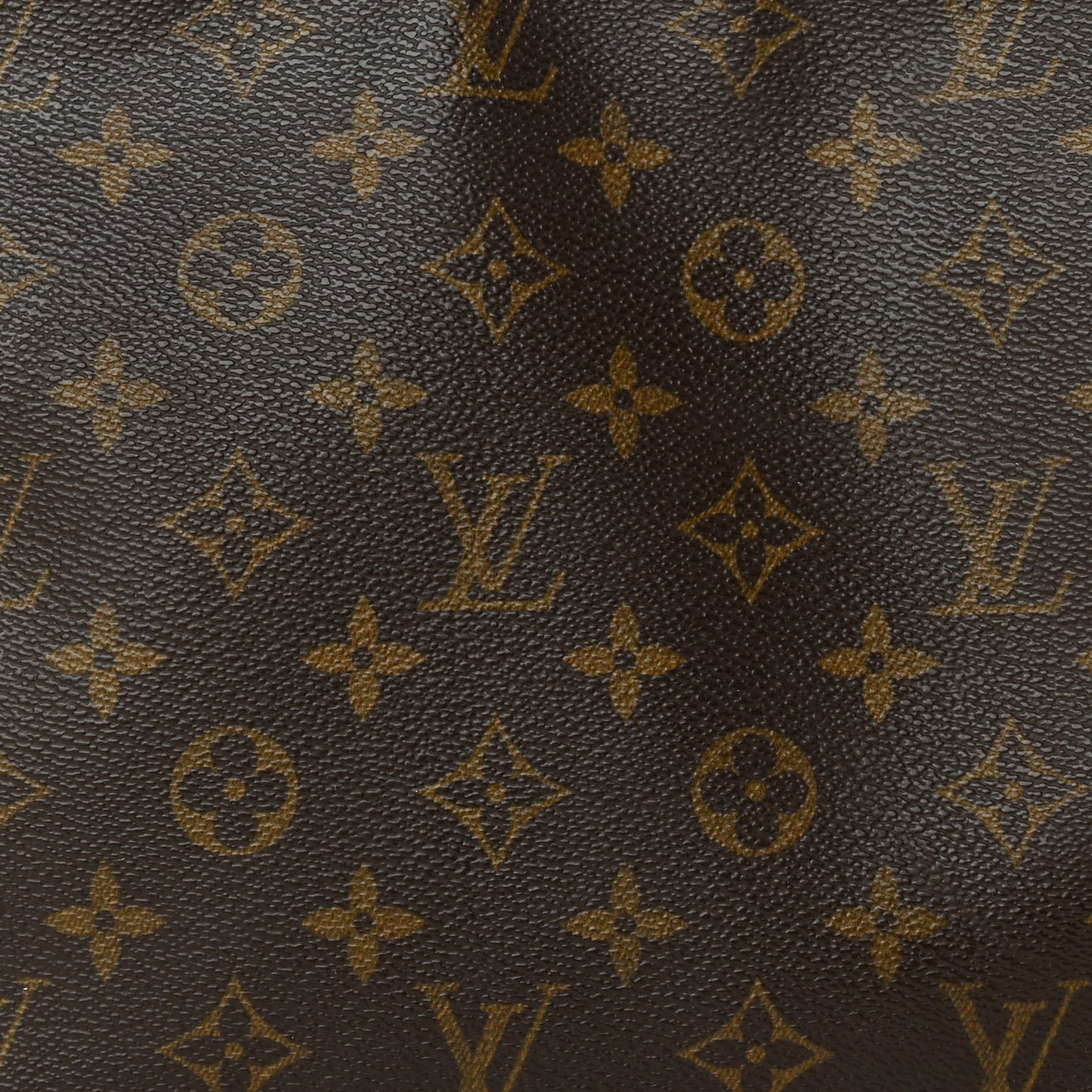 Monogram Looping MM