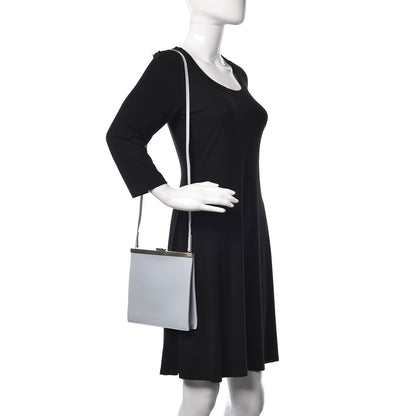 Celine Smooth Calfskin Mini Clasp Bag Frost 2 of 10