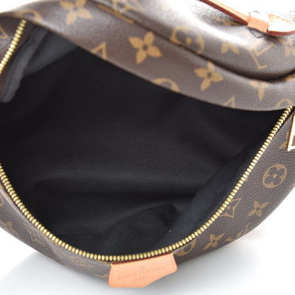 Louis Vuitton Monogram Bumbag 5 of 14