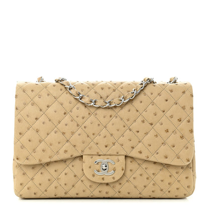 Chanel Ostrich Jumbo Single Flap Light Beige 1 of 12