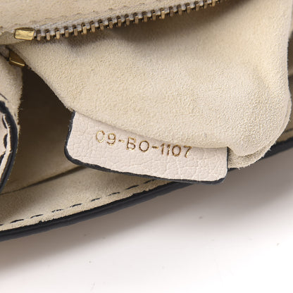 Christian Dior Canyon Grained Lambskin Small Dioraddict Flap Bag Ivory 7 of 10