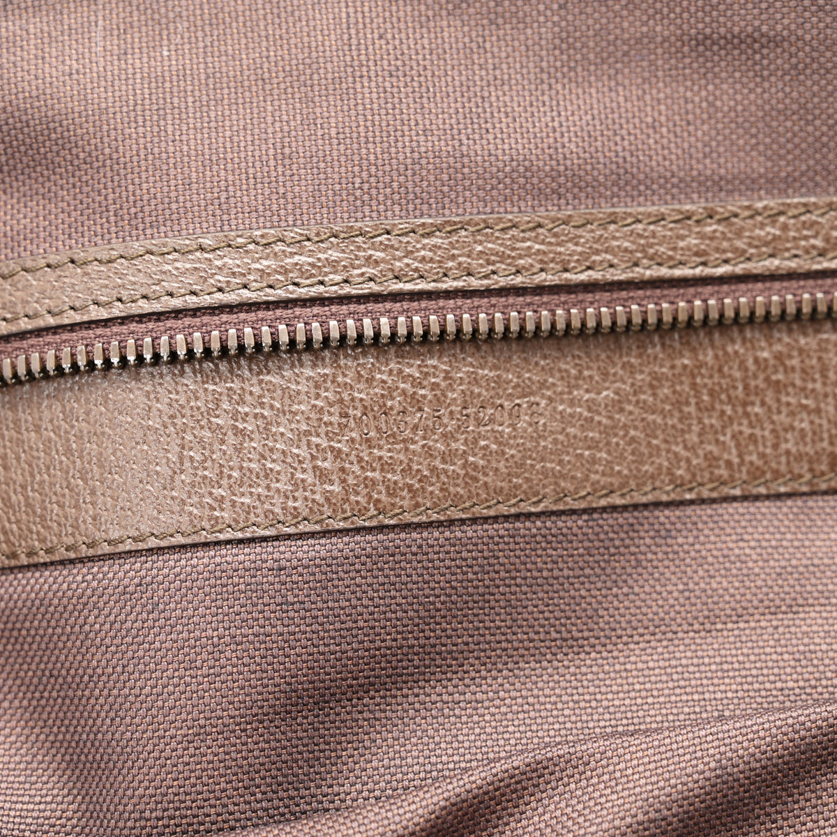 GG Supreme Monogram Textured Dollar Calfskin Web Ophidia Savoy Garment Bag Beige Ebony New Acero