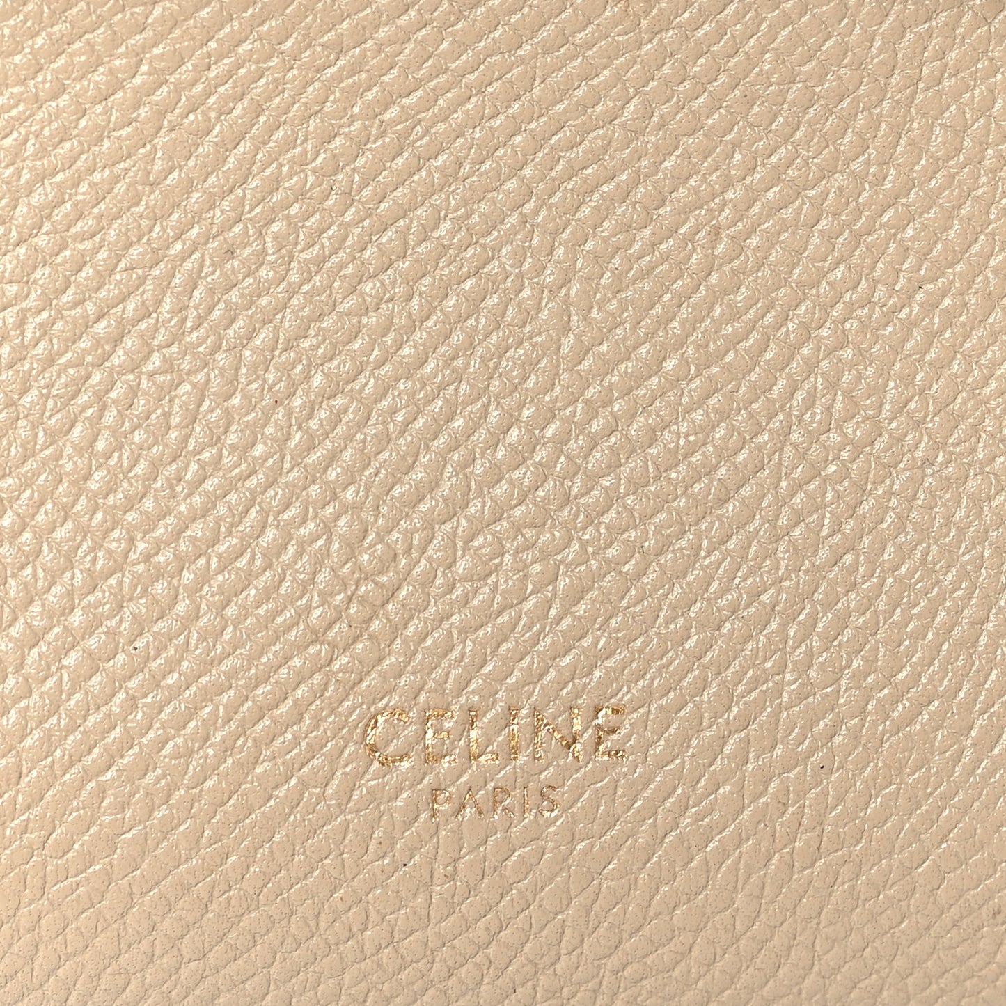 Grained Calfskin Pico Belt Bag Light Taupe