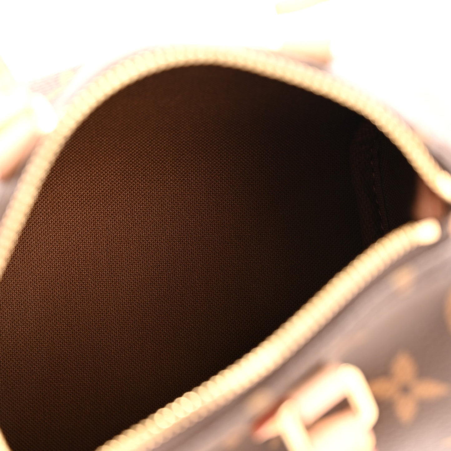 Monogram Nano Speedy