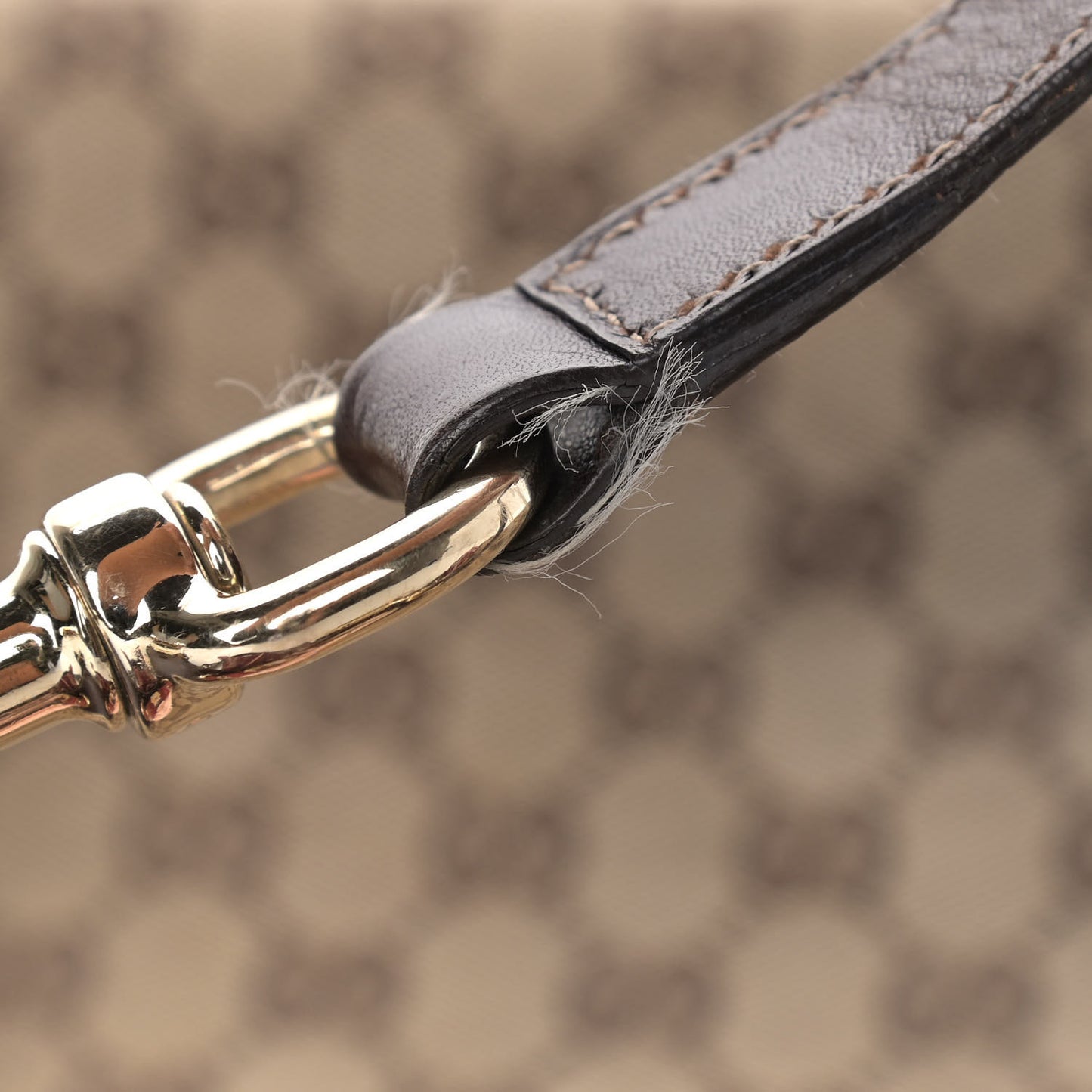 Monogram Large Positano Tote Brown