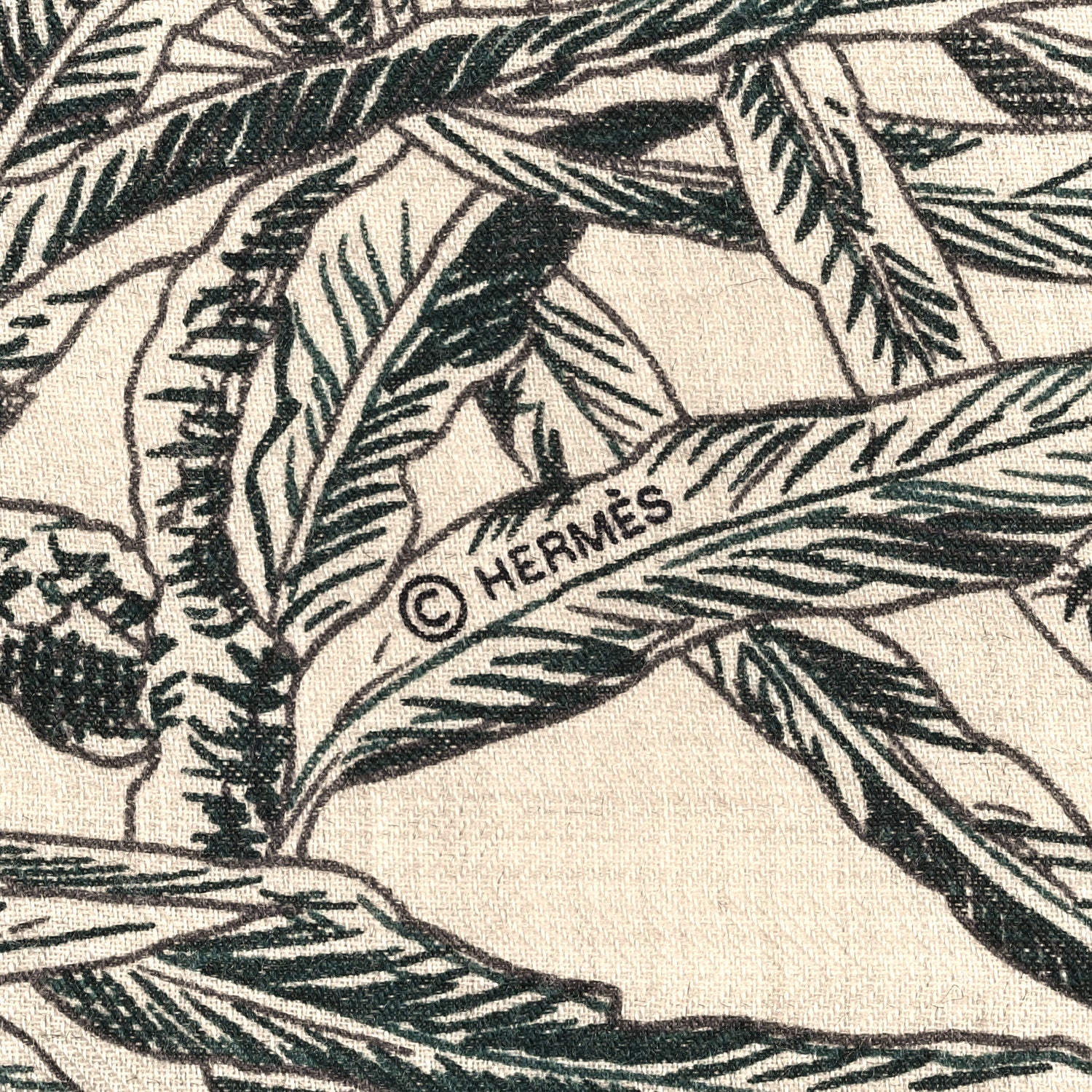 Hermes Cashmere Silk All 'Orto Botanico Di Palermo Shawl 140 Vert Loden Naturel Encre 3 of 3