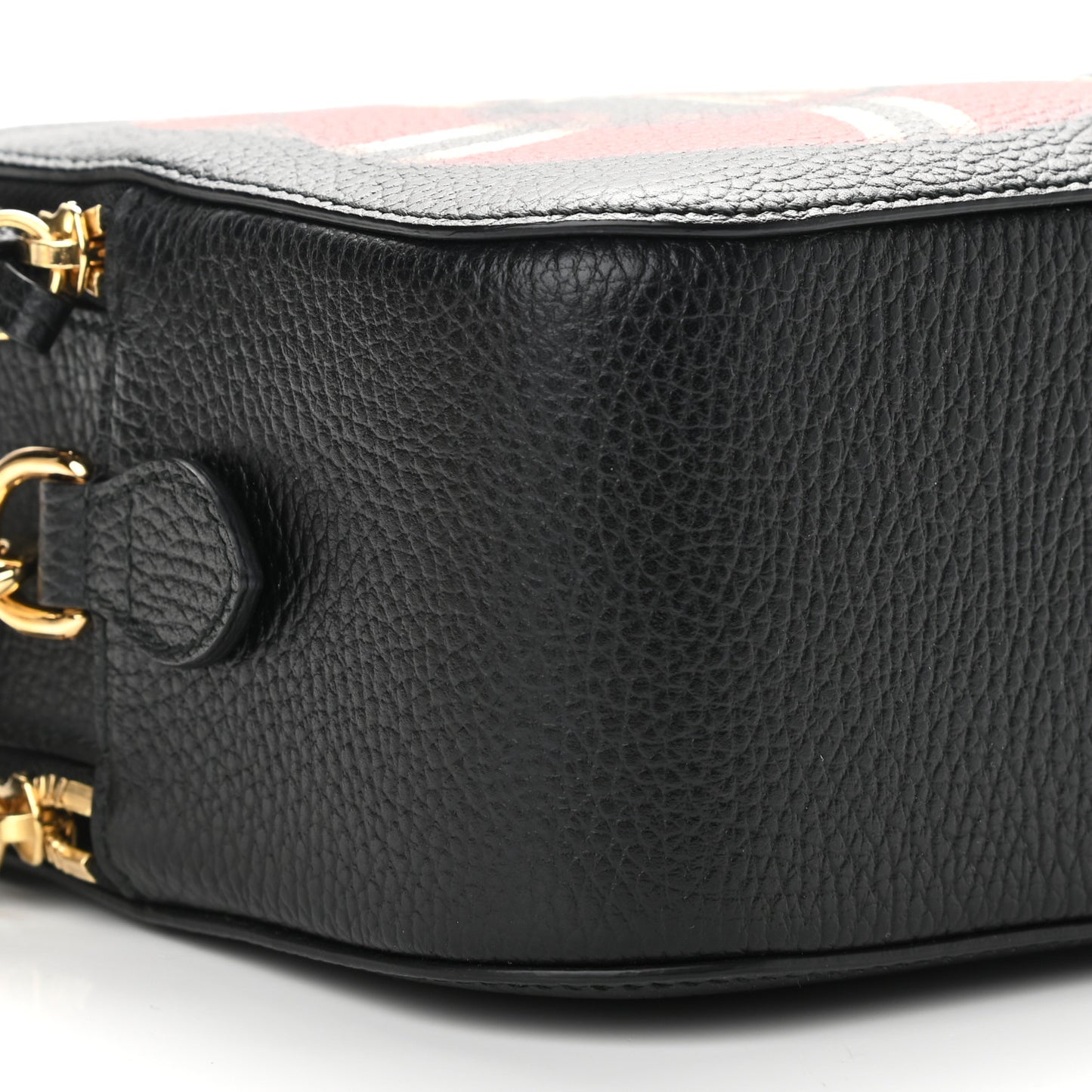 Grained Calfskin Sylvie Web Kingsnake Small Camera Bag Black Multicolor