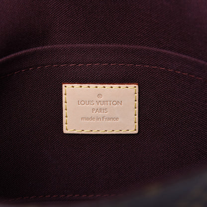 Louis Vuitton Monogram Favorite MM 8 of 9