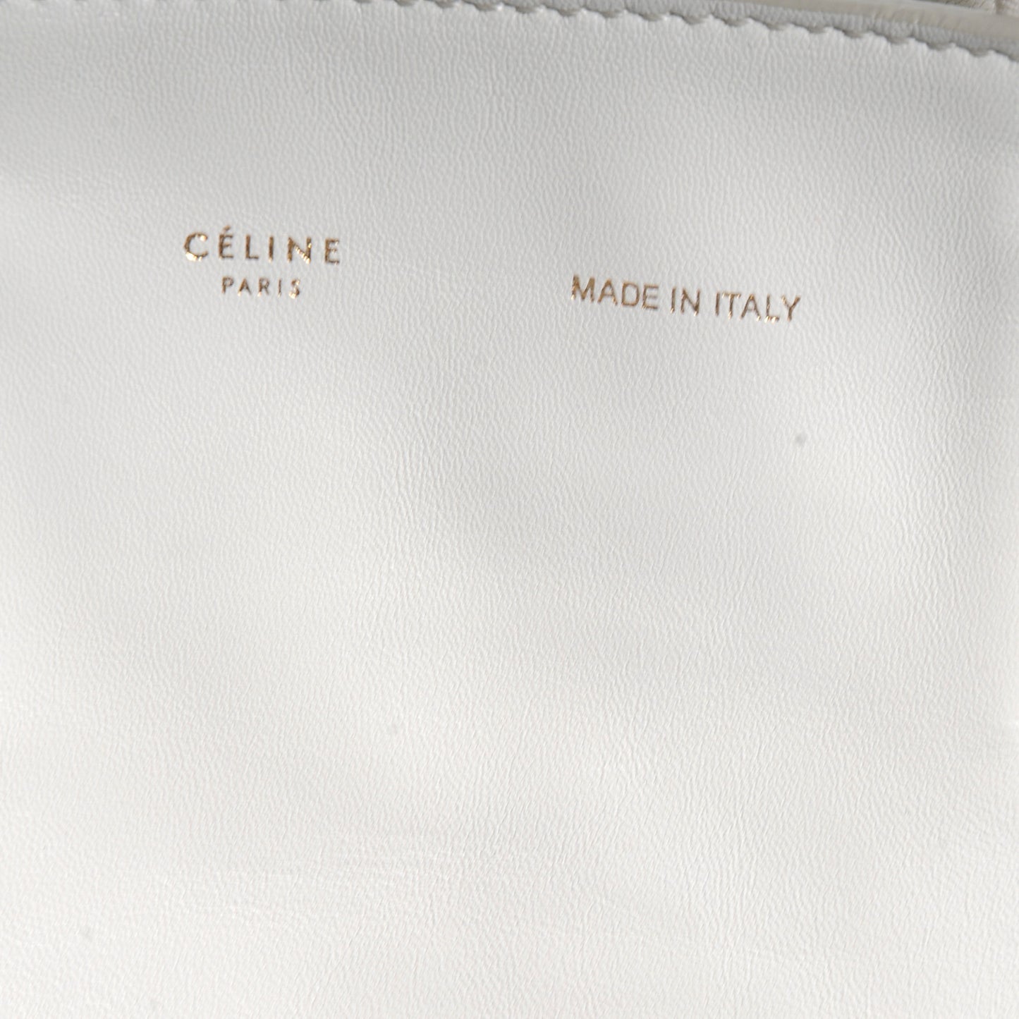 Lambskin Vertical Bi-Cabas Blue White
