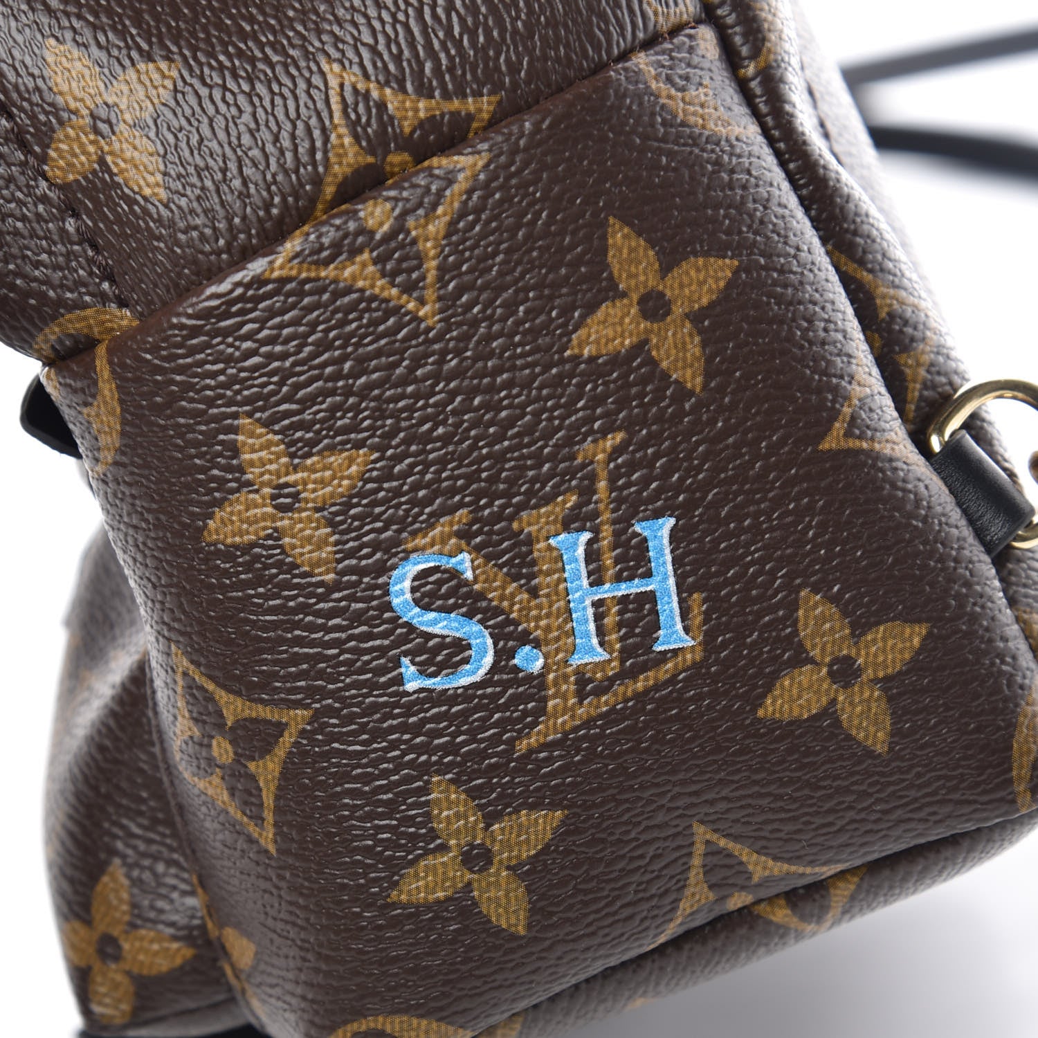 Louis Vuitton Monogram My World Tour Palm Springs Backpack Mini 10 of 11