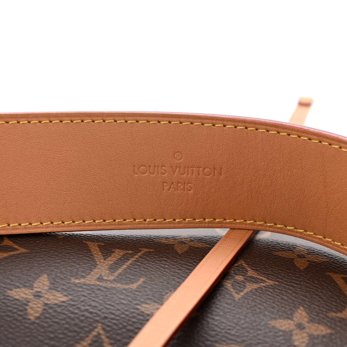 Monogram Carryall MM