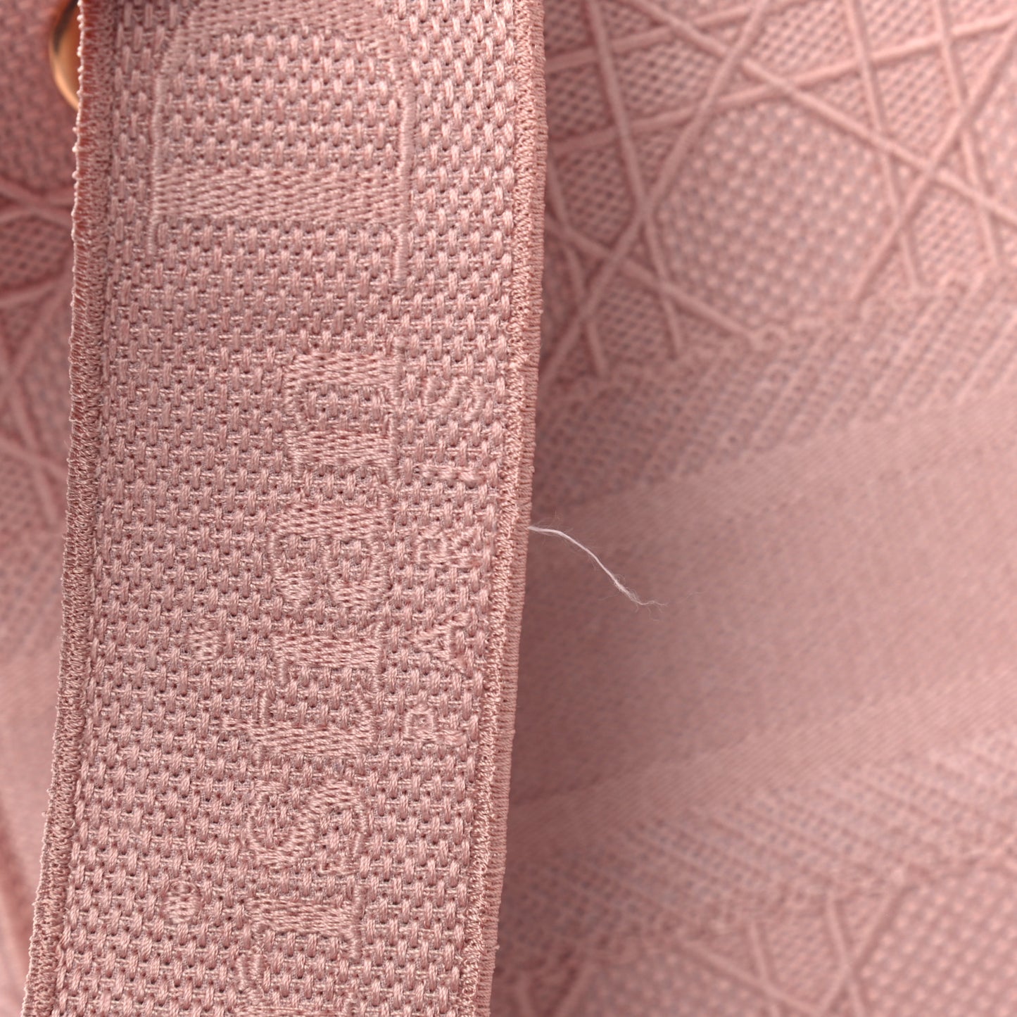 Canvas Embroidered Cannage Medium Lady D-Lite Pink