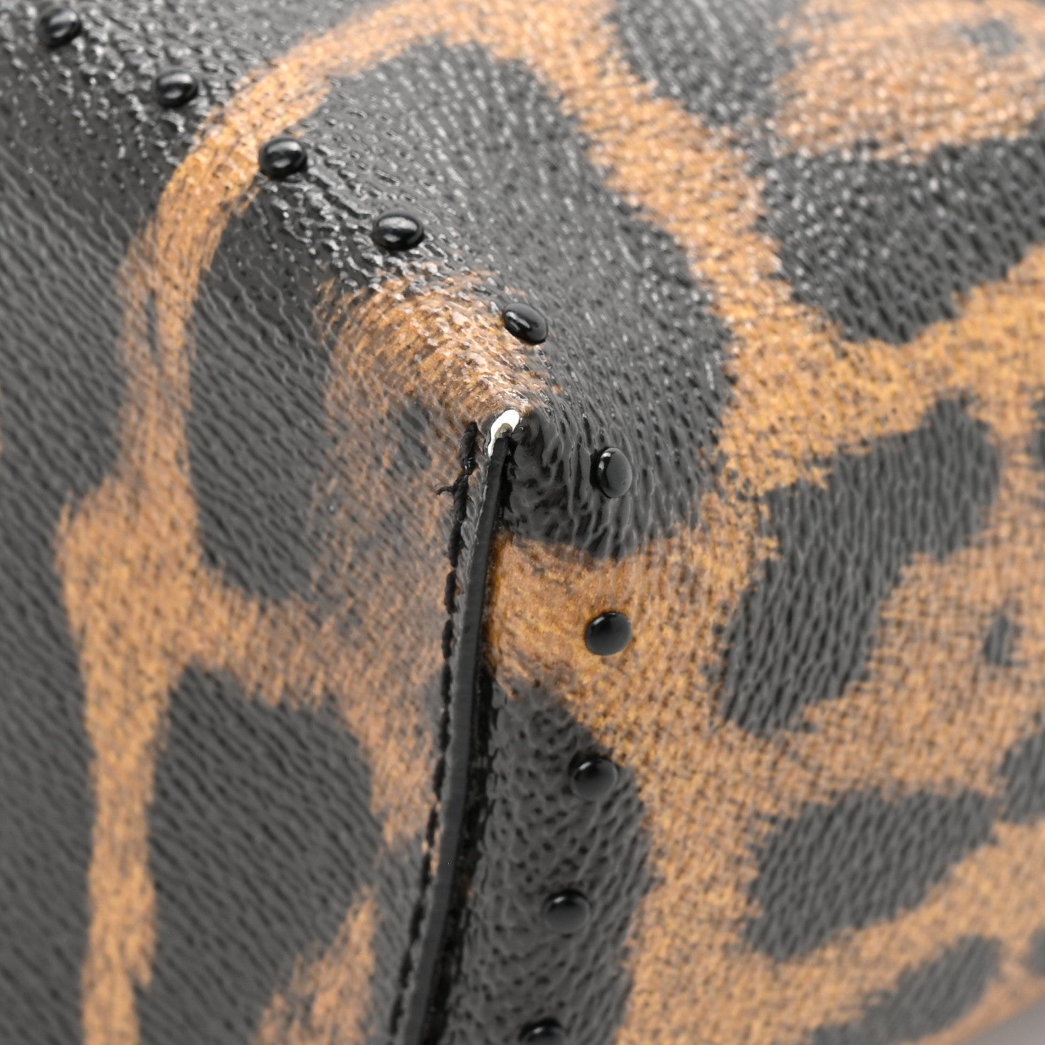 Louis Vuitton Monogram Leopard Camera Box 12 of 13