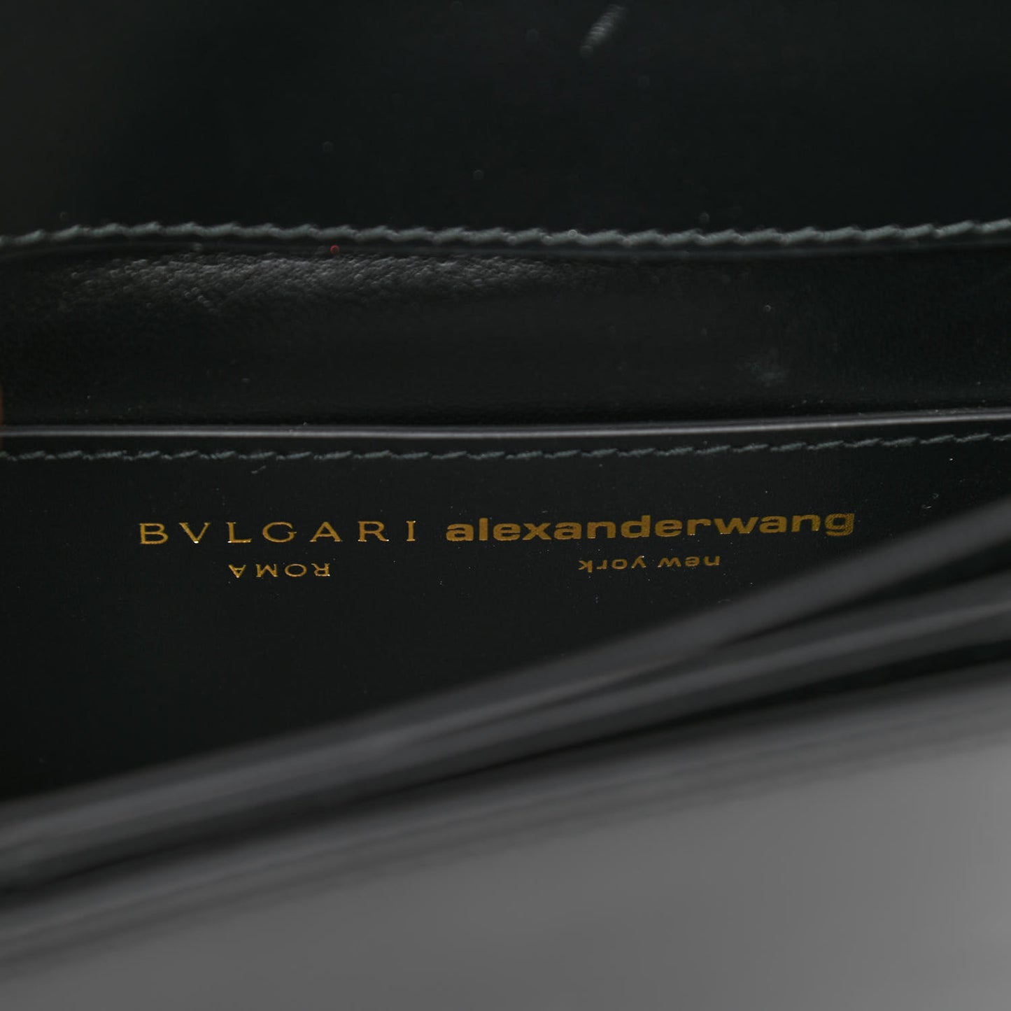 x ALEXANDER WANG Calfskin Serpenti Bag Black