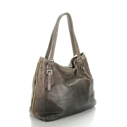 Prada Cervo Lux Sfumata Zippers Hobo Fumo 3 of 7