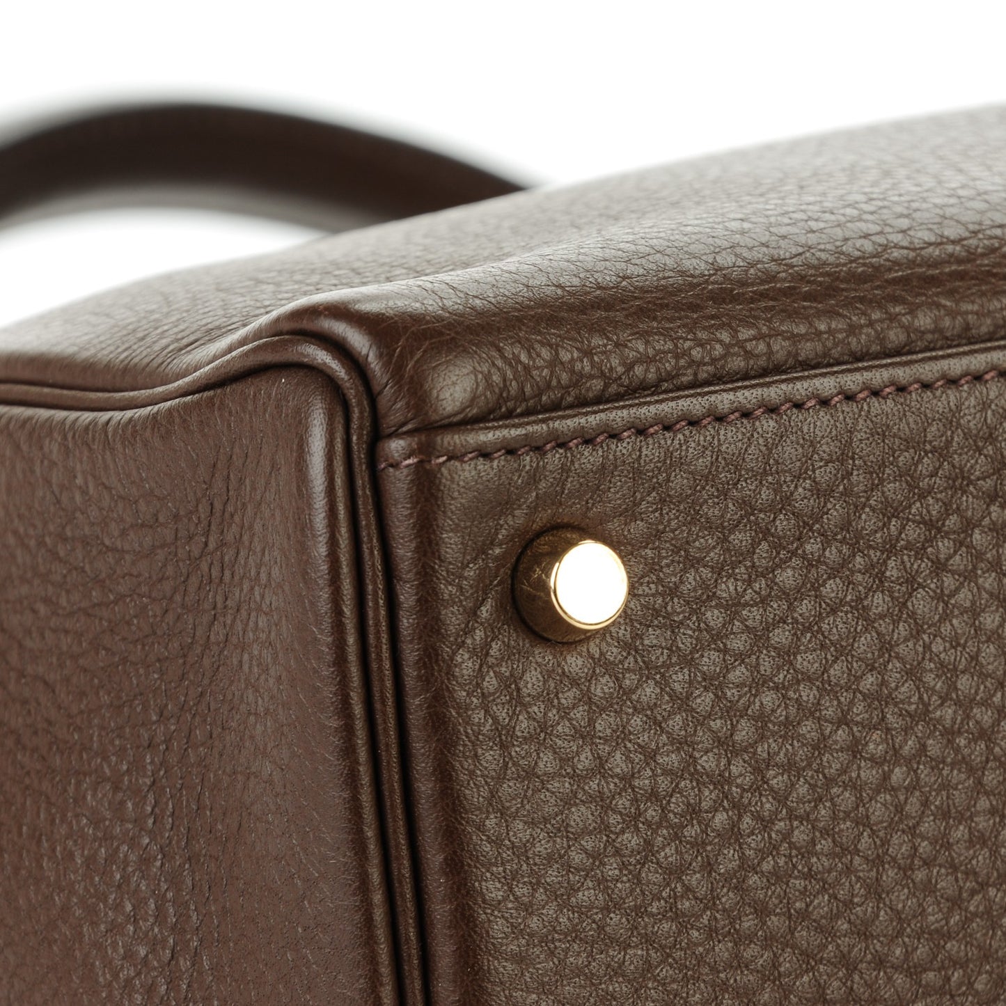 Taurillon Clemence Kelly Retourne 32 Chocolate