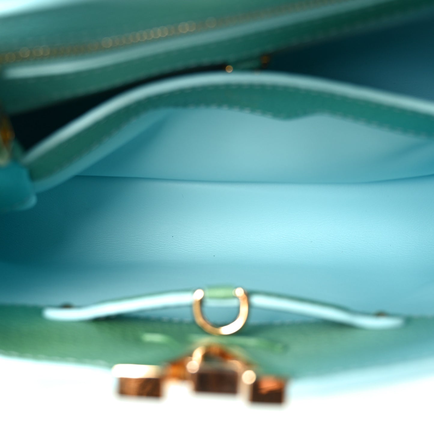 Taurillon Gradient Capucines BB  Bleu Vert