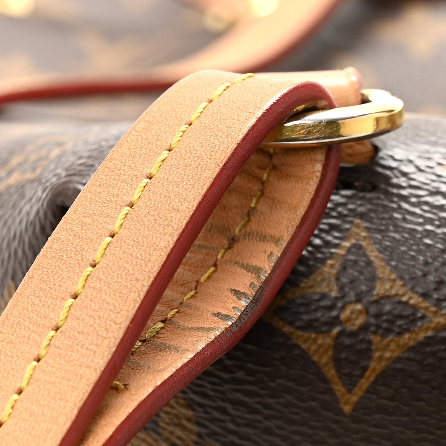 Monogram Montsouris NM Backpack