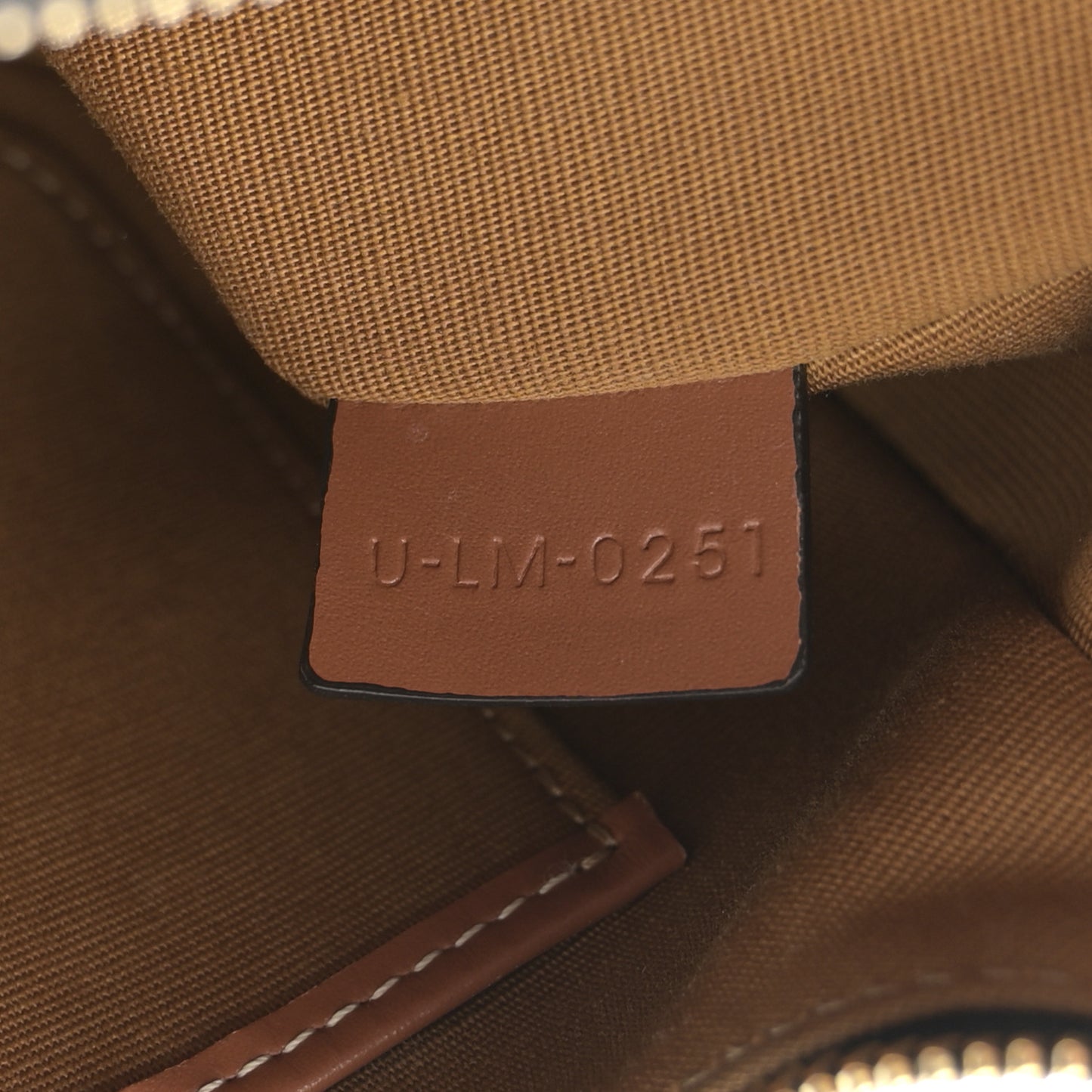 Canvas Calfskin Camouflage Ava Logo Triomphe Shoulder Bag Khaki