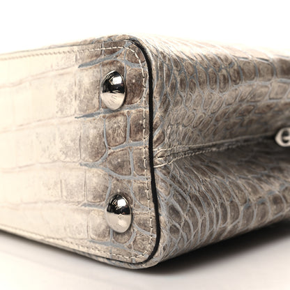Louis Vuitton Himalaya Crocodile BB Capucines 9 of 9