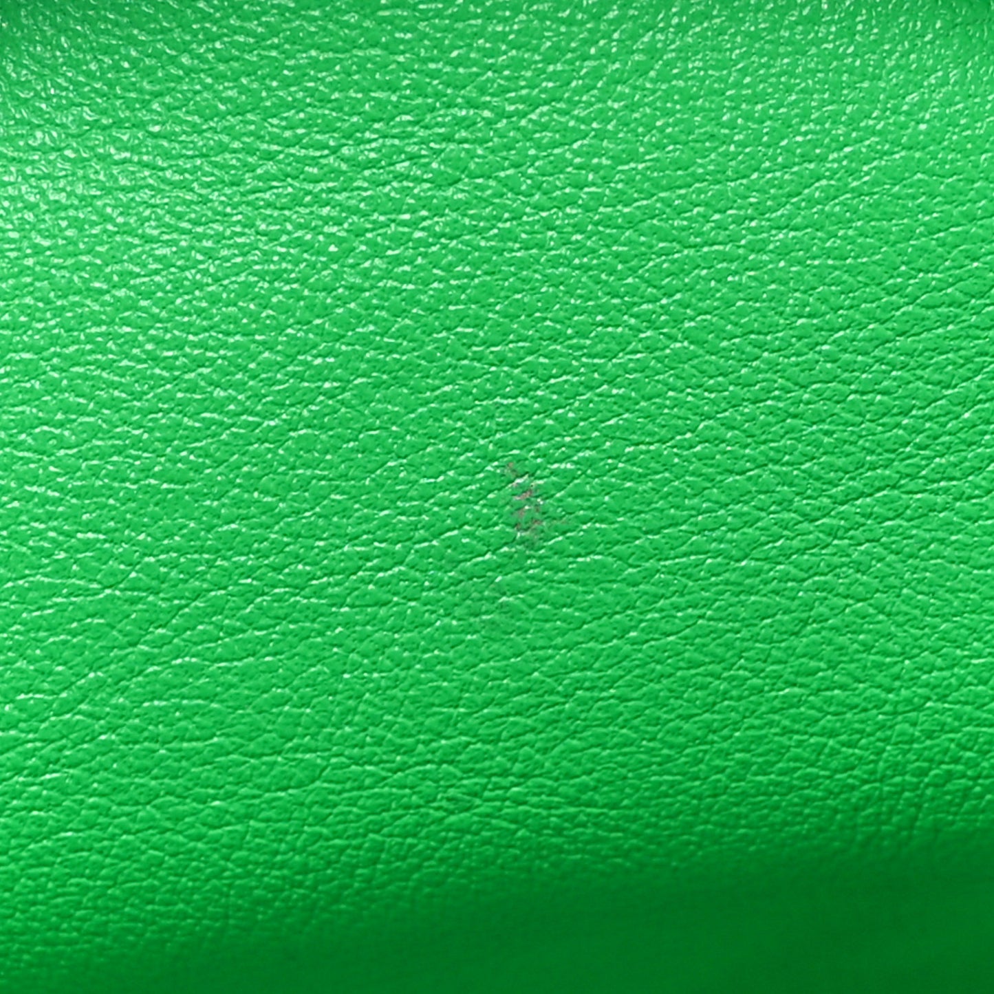 Butter Calfskin The Mini Pouch Parakeet
