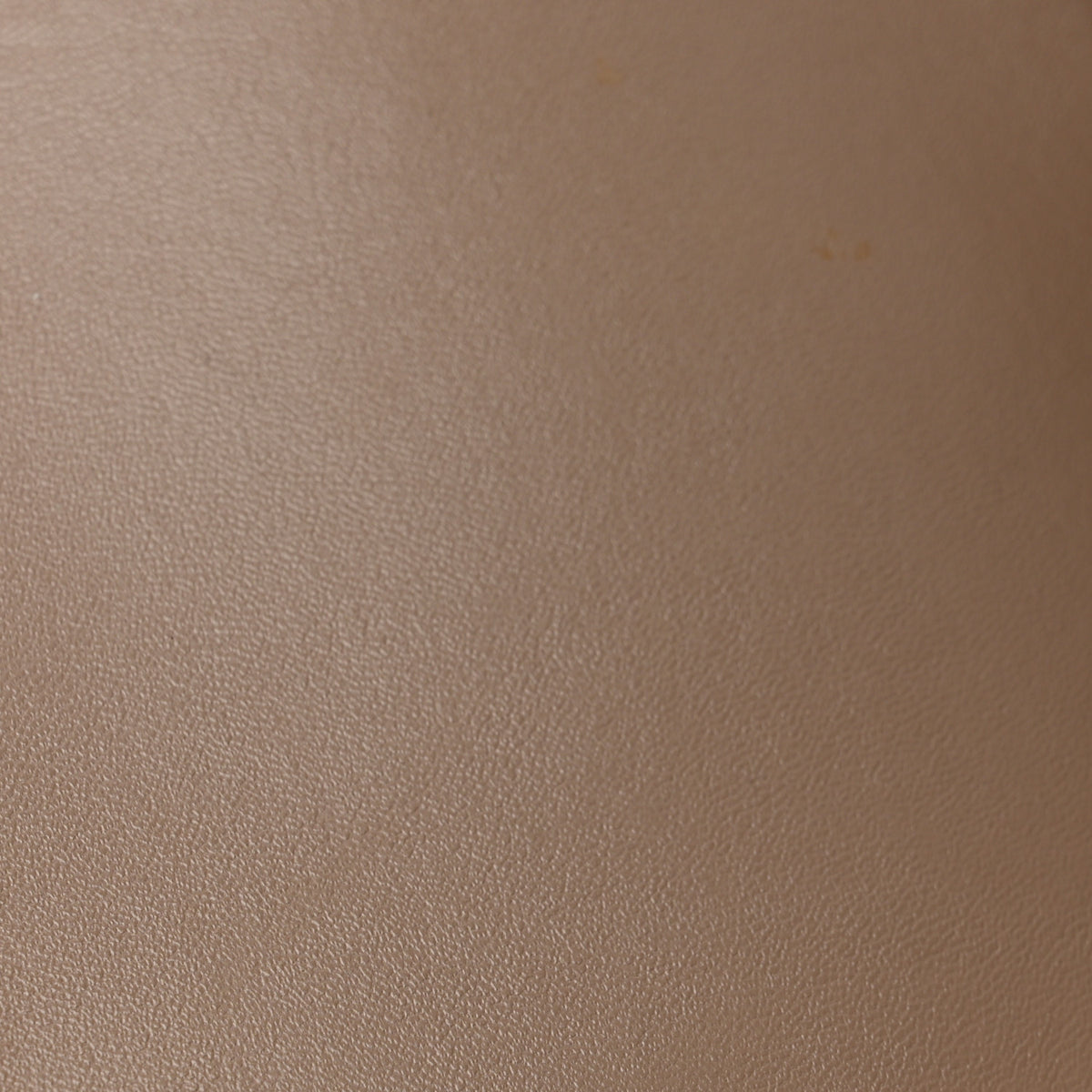 Eco Alter Nappa Perforated Logo Mini Crossbody Dark Taupe