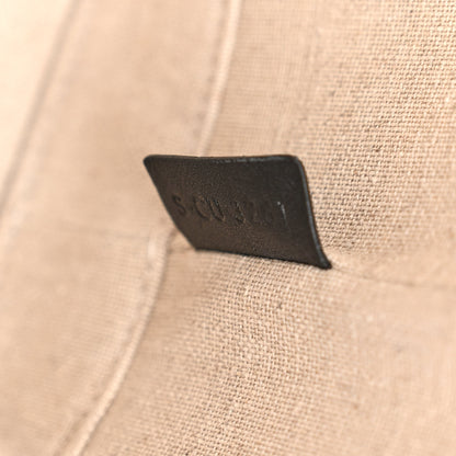 Celine Canvas Calfskin Triomphe Small Bucket Bag Vanilla Black 7 of 11