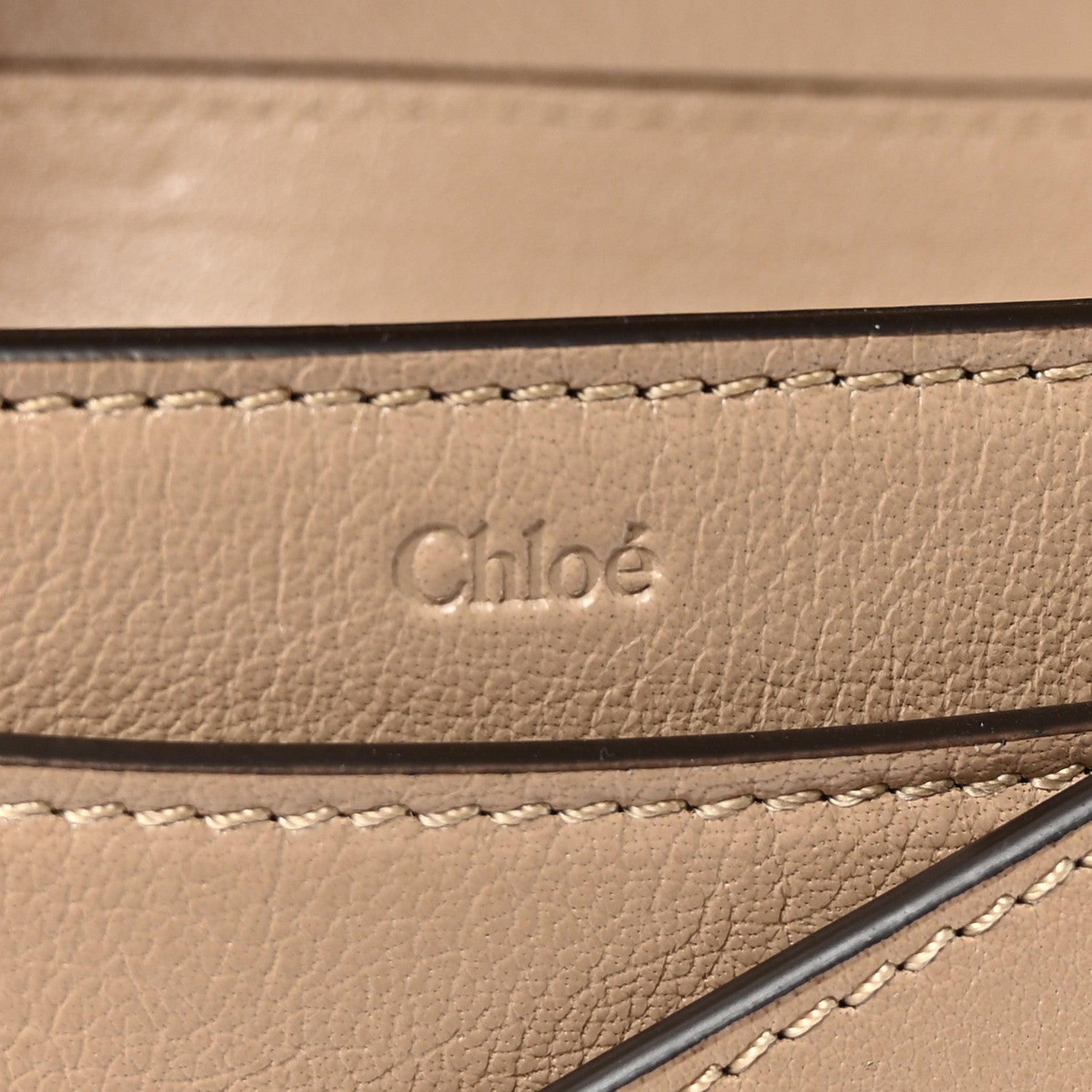 Chloe Grained Asian Water Buffalo Horse Medal Saddle Crossbody Bag Boyish Brown 6 of 10