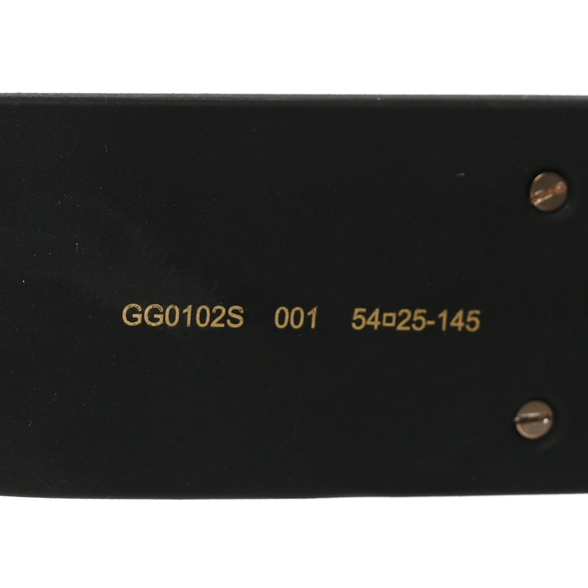 Square Frame GG0102S Sunglasses Glitter Black