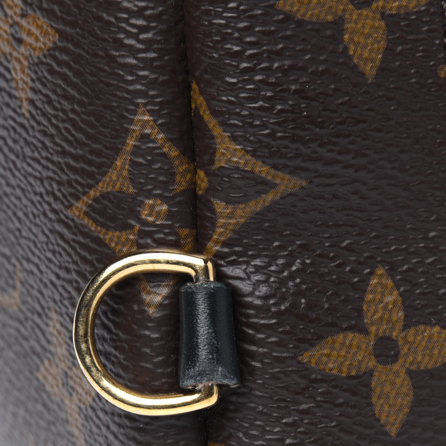 Monogram Palm Springs Backpack Mini
