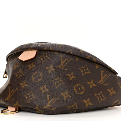 Louis Vuitton Monogram Bumbag 9 of 9